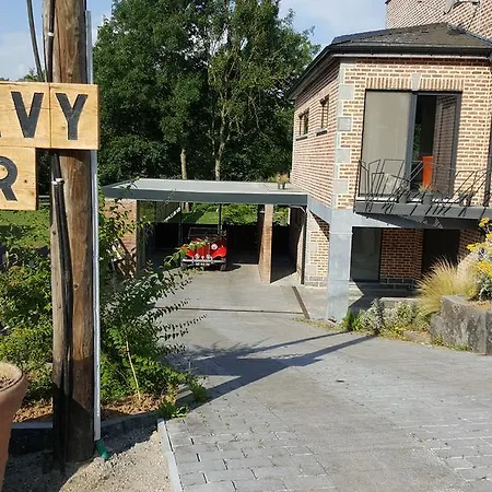 Lavy D' Or *